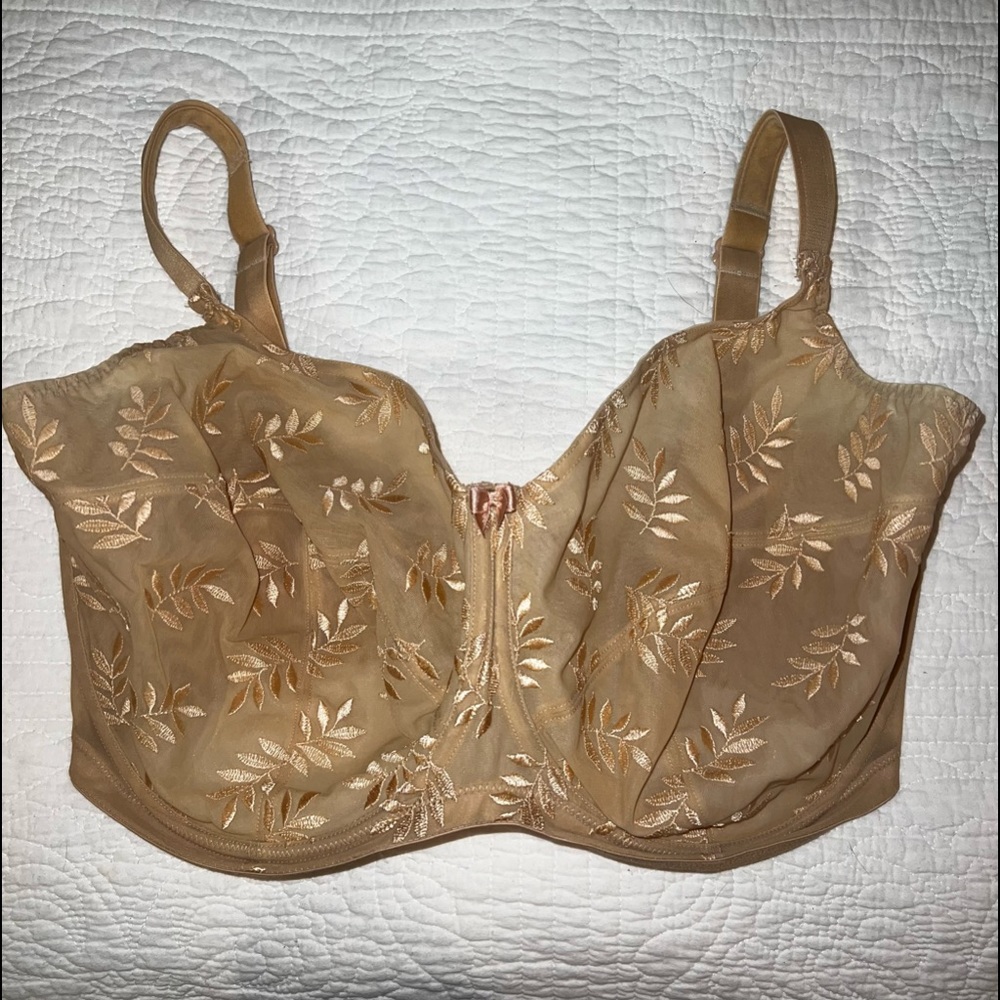 Pinache Bra